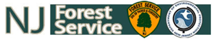NJ Forest Service